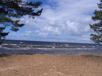 IMG_0139.jpg IMG_0139.jpg