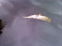 IMG00024.jpg IMG00024.jpg