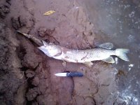 IMG00025.jpg IMG00025.jpg