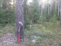 20130831_194047.jpg 20130831_194047.jpg