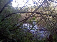 IMG602.jpg IMG602.jpg