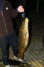 IMG_6787.jpg IMG_6787.jpg