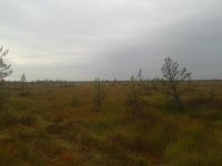 20130921_102152.jpg