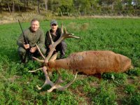 ibexhuntspain_23 (small).jpg ibexhuntspain_23 (small).jpg