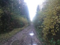 IMG00074.jpg IMG00074.jpg