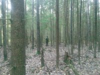 IMG00075.jpg IMG00075.jpg