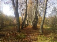 IMG00078.jpg IMG00078.jpg