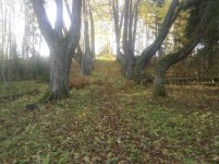 IMG00087.jpg IMG00087.jpg