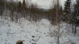 DSC07500.jpg DSC07500.jpg