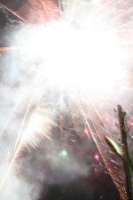 IMG_1651.jpg IMG_1651.jpg