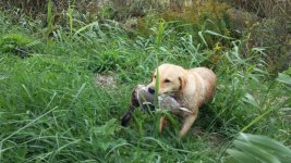 20130916_133803.jpg 20130916_133803.jpg