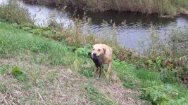 20130916_103636.jpg 20130916_103636.jpg