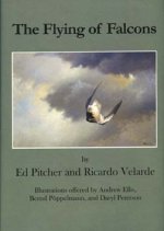Flying-Falcons-Pitcher-Velarde.jpg