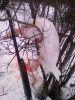 IMG00049.jpg IMG00049.jpg