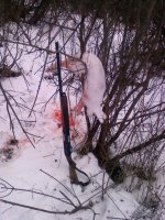 IMG00051.jpg IMG00051.jpg
