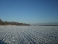 SAM_0100.jpg SAM_0100.jpg