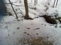 26012014463.jpg 26012014463.jpg