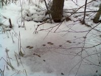 26012014465.jpg 26012014465.jpg