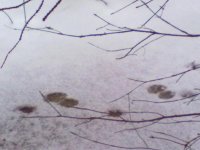 26012014466.jpg 26012014466.jpg