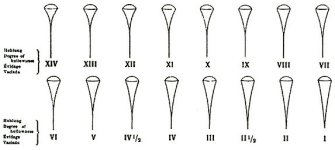 Henckels-Chart.jpg