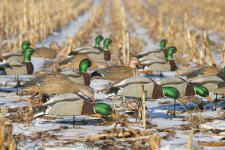 ghg-decoys-craigslist-807.jpg