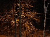 DSC02522.jpg DSC02522.jpg