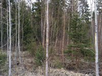 image-6.jpg image-6.jpg
