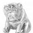 bulldog