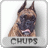 chups