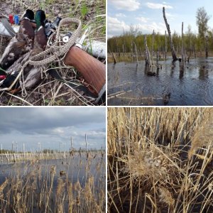 Весна 2016 в центре ОО