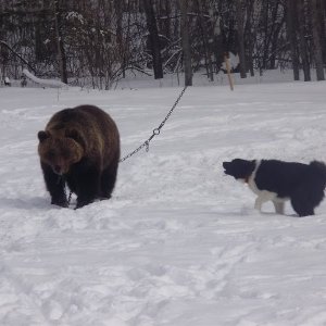 Пойка впервые на михе 10 мес.