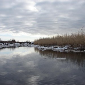 DSC07044
на реке весной 2014