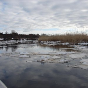 DSC07043
на реке весной 2014