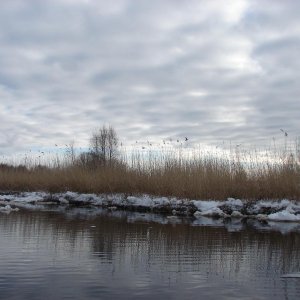 DSC07042
на реке весной 2014