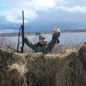 20150417 
Пока ждали гуся решил протестить новое ружье на селезне и удачно!