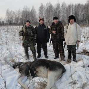 06.01.2016 09:40 первый загон и через 20-30 секунд четверо,один из них перед вами.