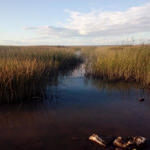 Близлежащий водоем