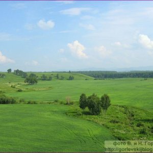 Клубника и бобры...