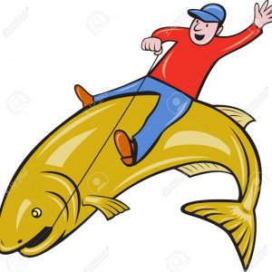 12107293 illustration of a fly fisherman riding a jumping trout fish done  Stock Photo