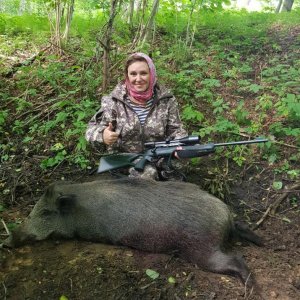 кабан добыт мною с подхода в "Терептинском охотхозяйстве".