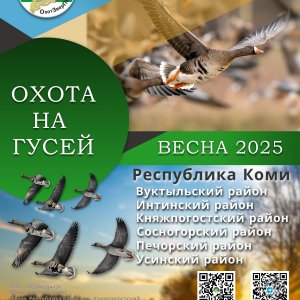 ОхотЗверПром (ГУСИ) 2025 JPEG.jpg