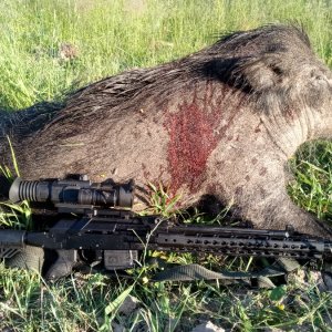Медиа 'IMG_20210620_055628_0.jpg' в альбоме 'Разное'