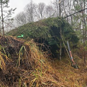 Медиа 'IMG_1284.jpg' в альбоме 'шалаш охотника'