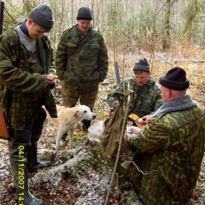 и четвероногая перекусить непрочь