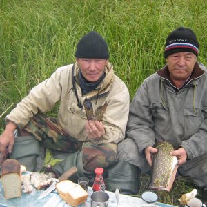 Первый перекус. Щучьи шашлыки. То, что в руках отца досталось...собакам)