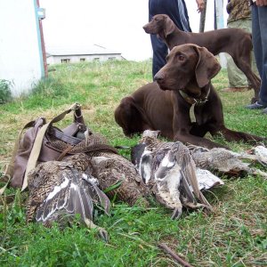 Классно мы с сестрой отарволись