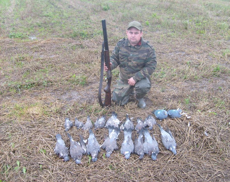 август 2011
