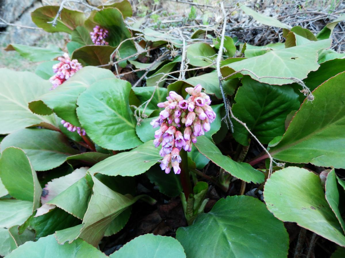 P5030077