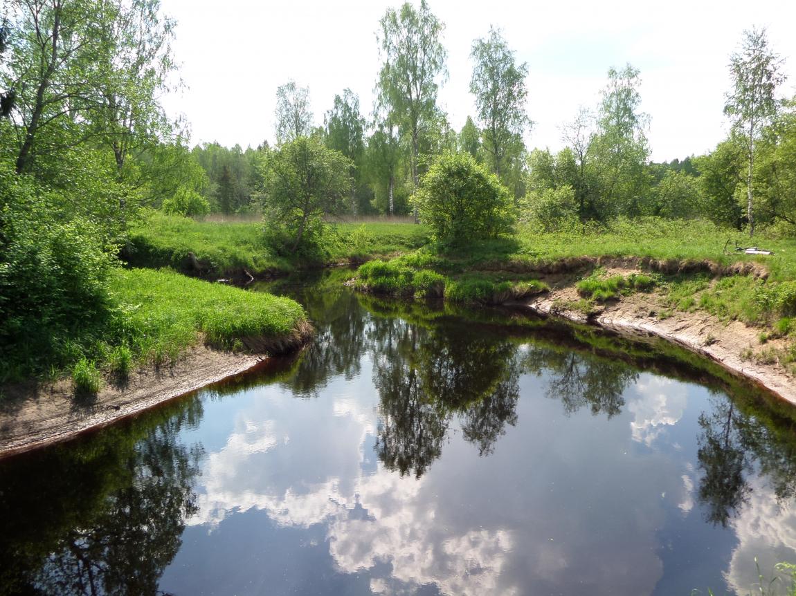 Мга у деревни Ерзуново