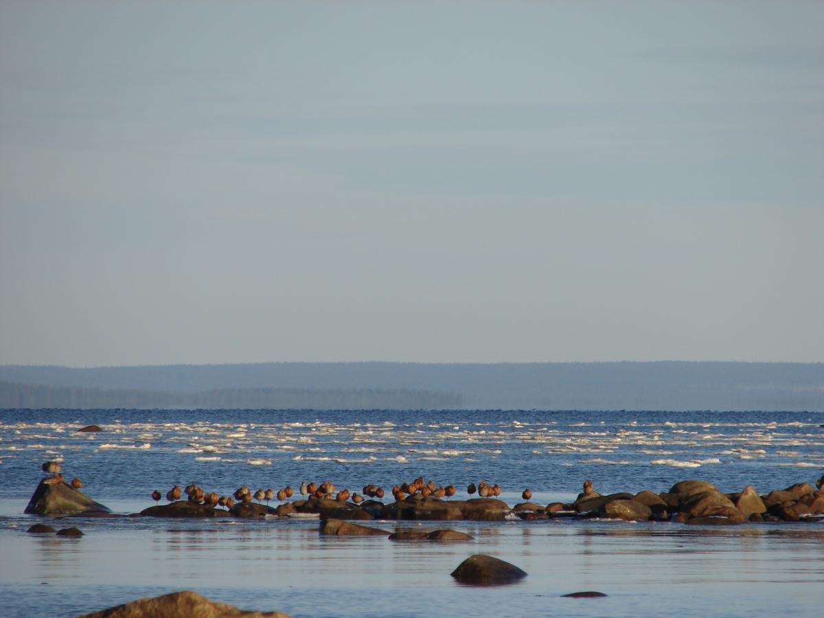 DSC07083
море